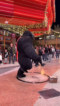 Adult Inflatable Gorilla Costume, Funny Blow Up Suit for Halloween Party Cosplay lifestyle image 1