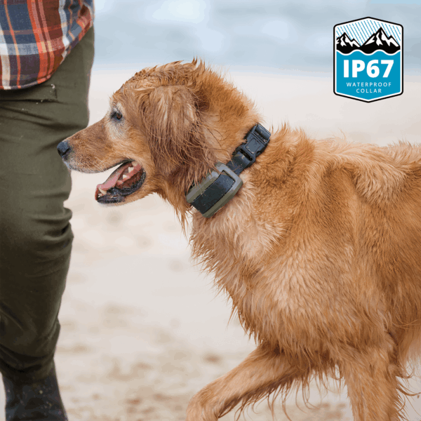 02-waterproof-collar Waterproof Virtual Dog Leash & Training Collar System