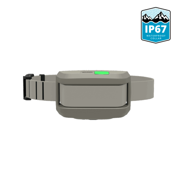 02-waterproof-collar-gray IP67 Waterproof Add-On Dog Training Collar