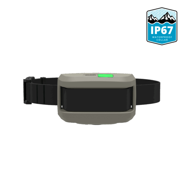 03-waterproof-collar-black IP67 Waterproof Add-On Dog Training Collar