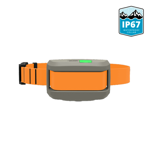 04-waterproof-collar-orange IP67 Waterproof Add-On Dog Training Collar